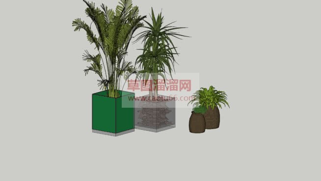 室内景观盆景SU模型