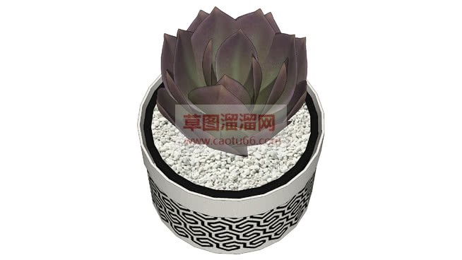 多肉植物摆草SU模型