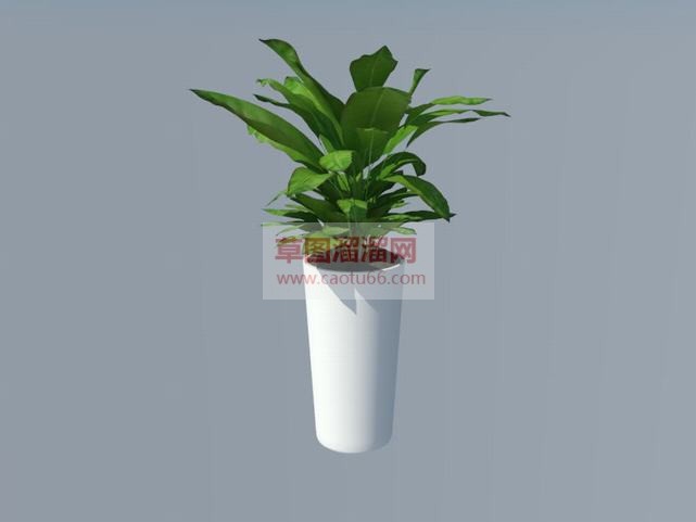 高深的花盆盆SU模型