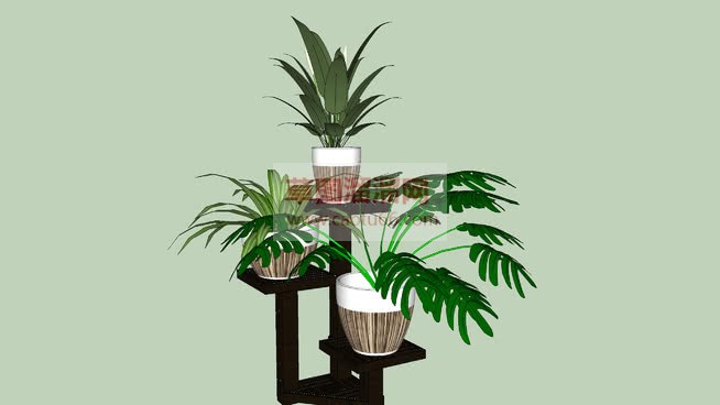 室内花架植物SU模型