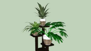 室内花架植物SU模型