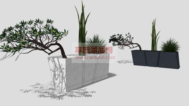 特色花盆植物SU模型