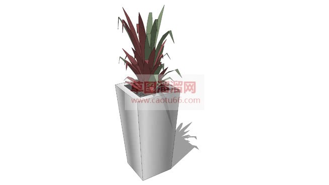 高盆栽植物草SU模型