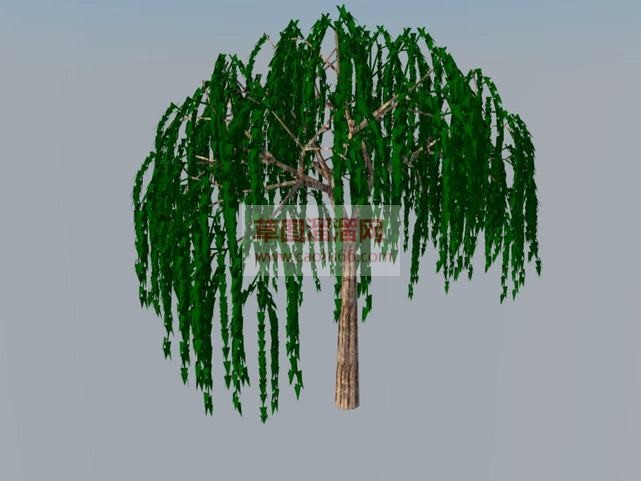 3D柳树草图SU模型