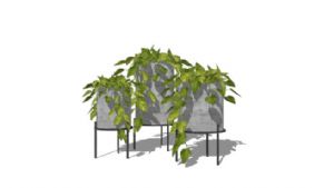装饰植物盆栽SU模型 免费sketchup模型下载