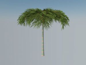 3D精细热带SU模型