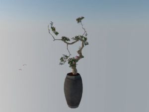 盆景植物花盆SU模型