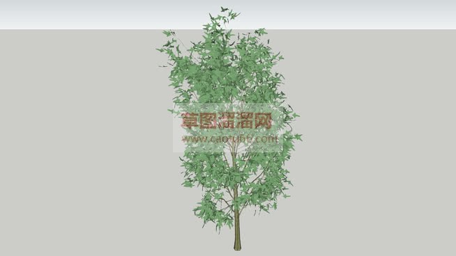3D小树草图SU模型