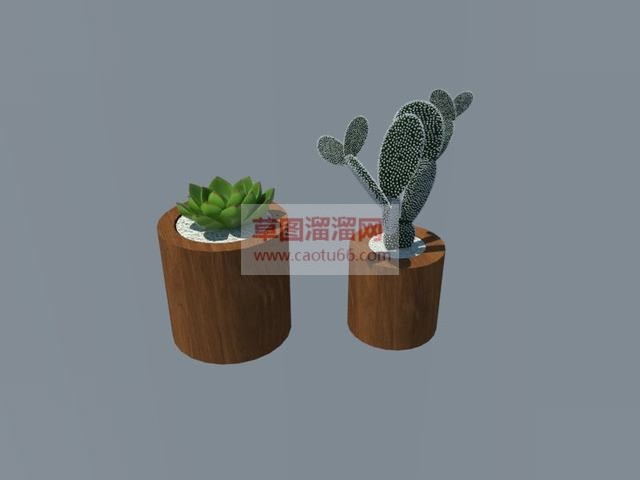 多肉植物+仙SU模型
