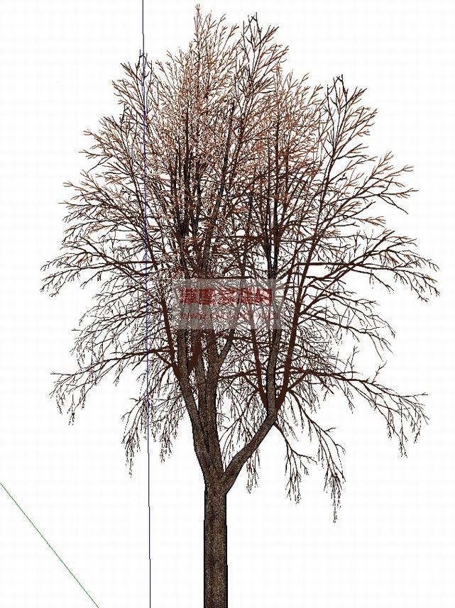 3D枯树草图SU模型