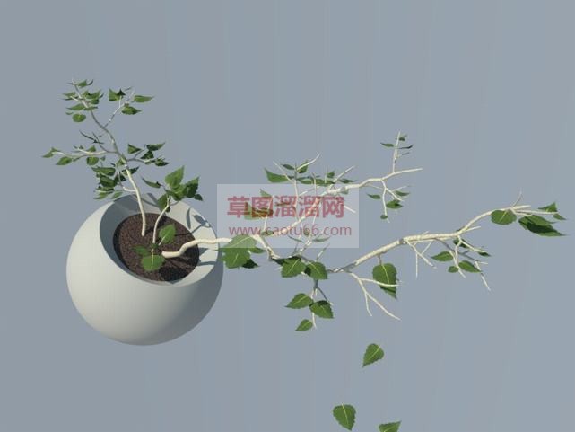 草图花盆盆栽SU模型