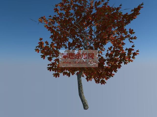 3D枫叶树草SU模型