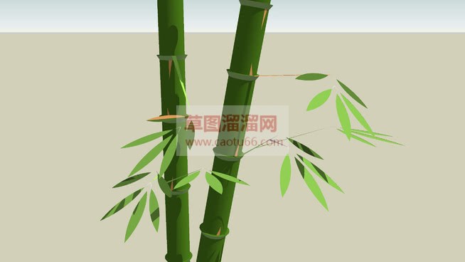 毛竹竹子竹叶SU模型