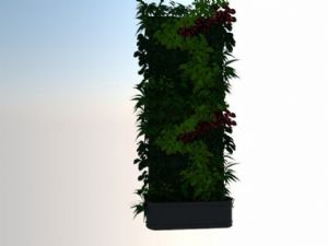 精细植物墙绿SU模型
