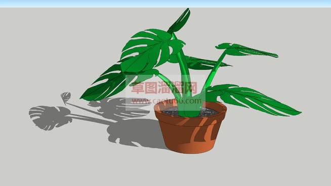 花盆里的龟背SU模型