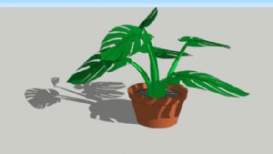 花盆里的龟背SU模型