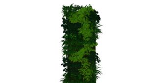 绿植墙（精细SU模型