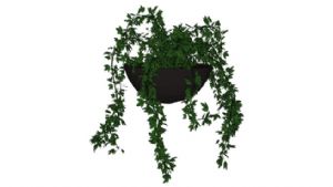 吊篮植物SU模型