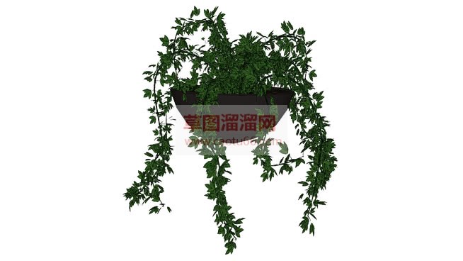 吊篮植物SU模型