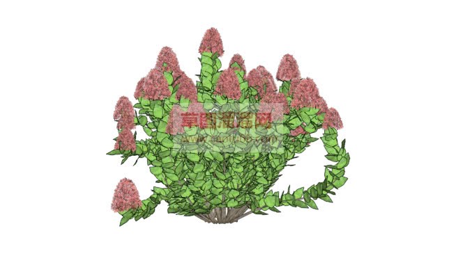 3D高脚花植SU模型