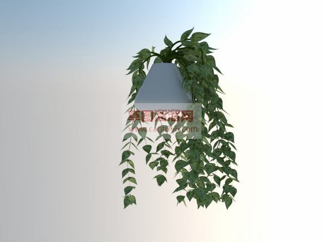 室内植物吊篮SU模型