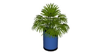 筒型花盆植物SU模型