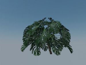 龟背竹SU模型