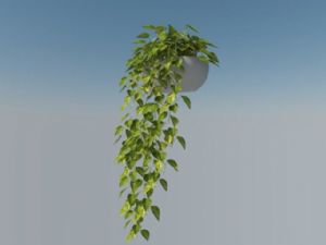 绿萝植物SU模型