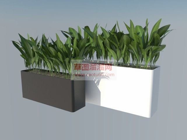 精细的植物花SU模型