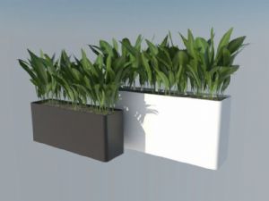 精细的植物花SU模型 免费sketchup模型下载
