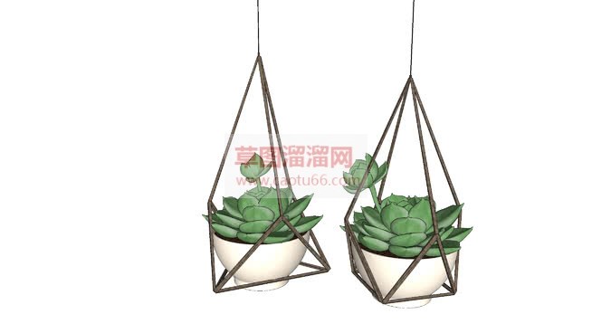吊篮多肉植物SU模型
