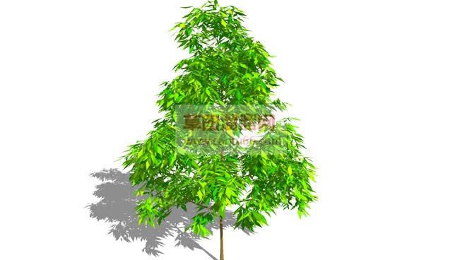 3D精美树木SU模型