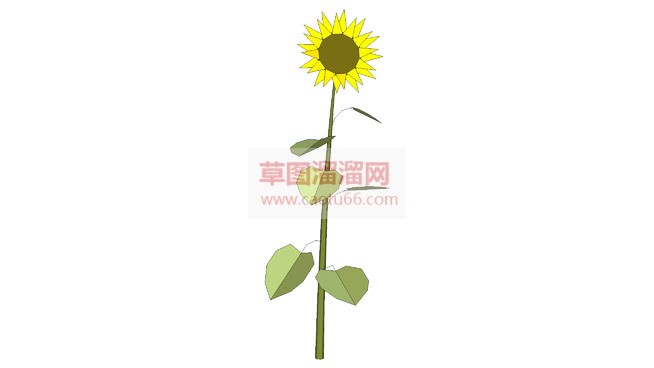简单的向日葵SU模型