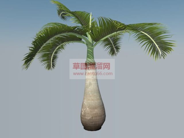 棕榈树景观树SU模型