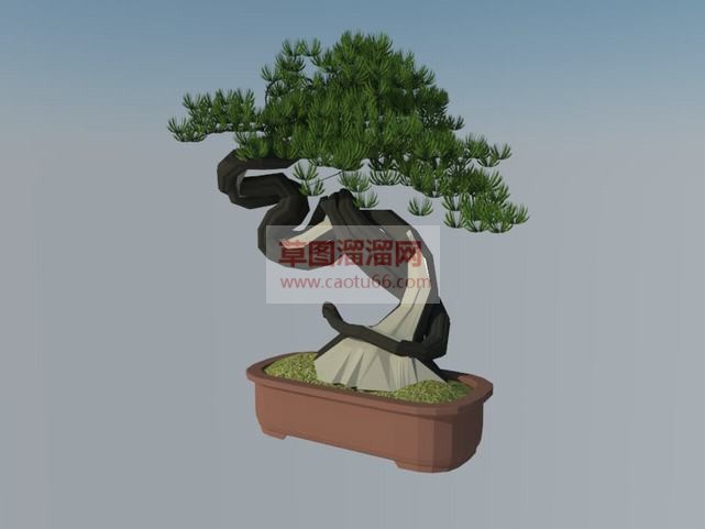 盆景盆栽迎客SU模型