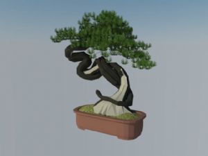盆景盆栽迎客SU模型