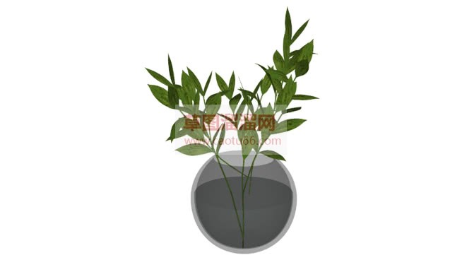 玻璃花瓶绿叶SU模型