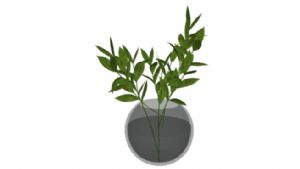玻璃花瓶绿叶SU模型
