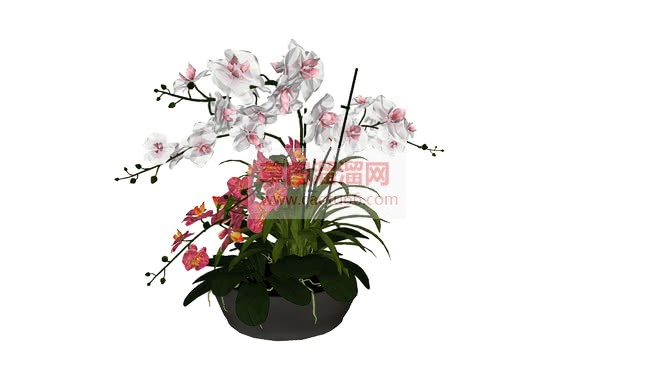 精美盆栽盆景SU模型