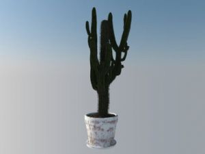 仙人掌盆栽植SU模型