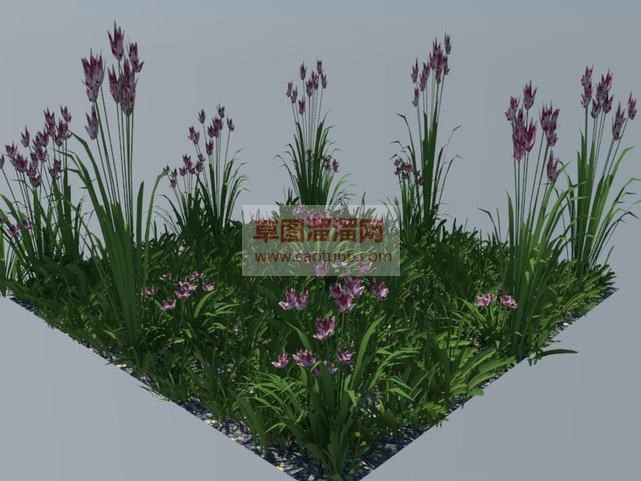 小花坛花草植SU模型