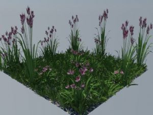 小花坛花草植SU模型