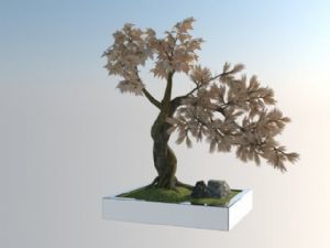 盆栽盆景观赏SU模型