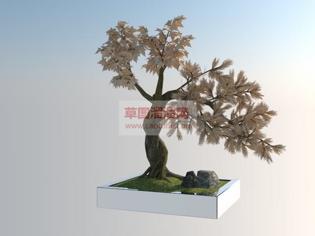 盆栽盆景观赏SU模型