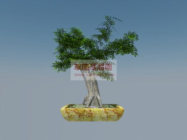 盆栽盆景植物SU模型