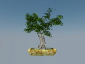 盆栽盆景植物SU模型
