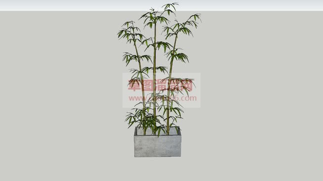 竹子小品SkSU模型