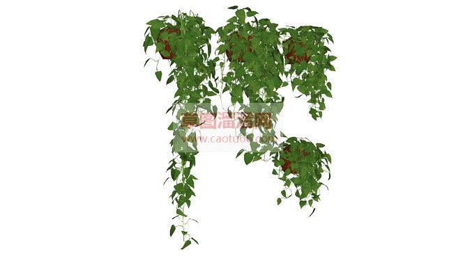 吊篮花盆植物SU模型