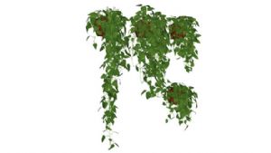 吊篮花盆植物SU模型