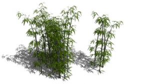 竹林竹子竹叶SU模型